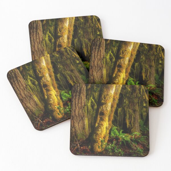 Item preview, Filtered sunlight spot lighting these trees. designed and sold by jklune.