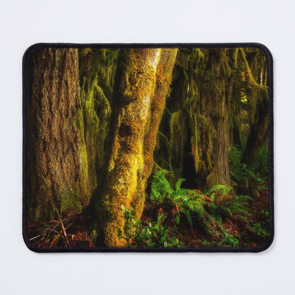 Item preview, Filtered sunlight spot lighting these trees. designed and sold by jklune.