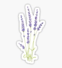 lavender Sticker