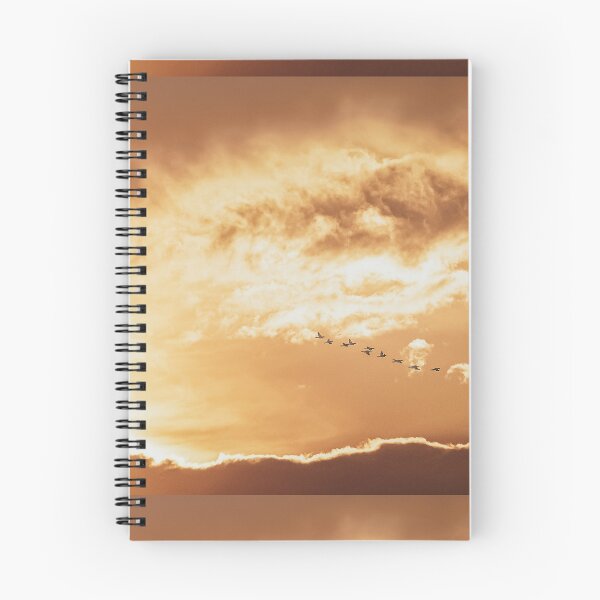 Item preview, Last Flight Out designed and sold by BlueMtStudios.