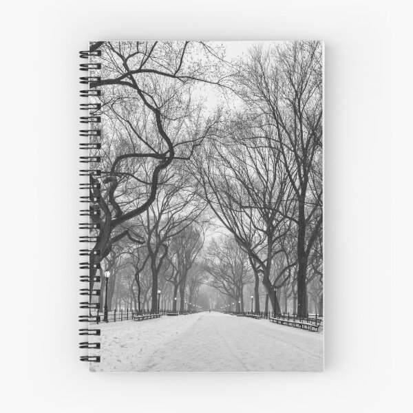 Item preview, Snowfall on Poets Walk designed and sold by Randy  LeMoine.