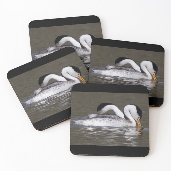 Item preview, Western Grebe Couple designed and sold by CarolM.