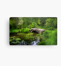 Little Bridge Metal Print