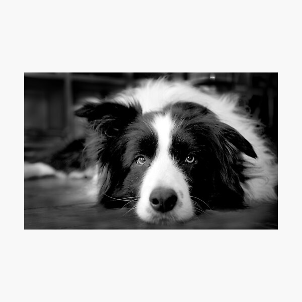Jessie Photographic Print