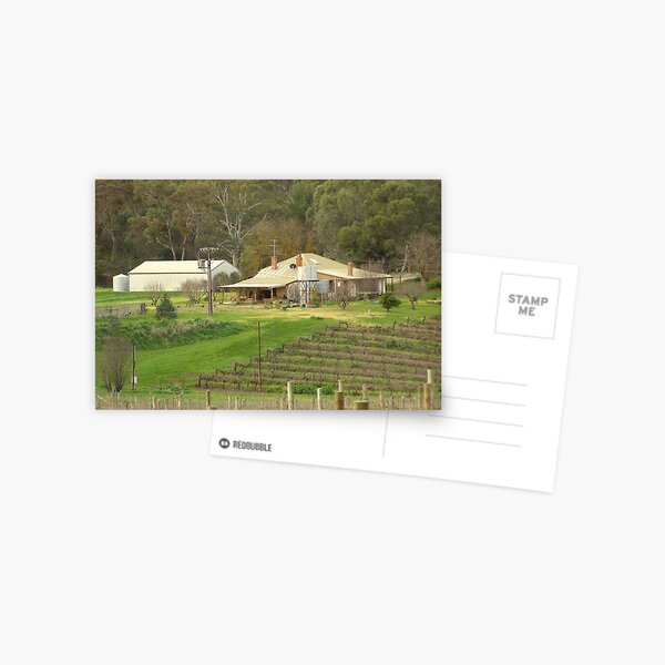 Home among the vines Postcard