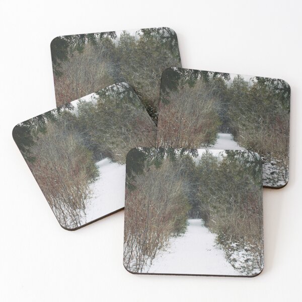Item preview, Straight Winter Path designed and sold by RoseyElisabeth.