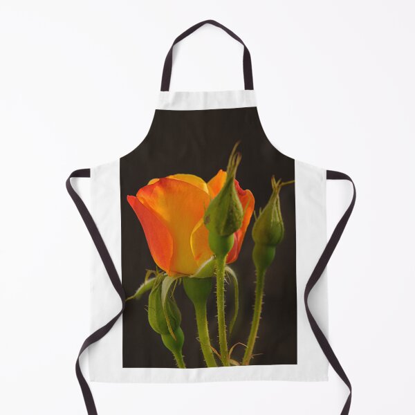 Item preview, _DSC9999 I Shall Be A Beauty Queen. designed and sold by Sunil Kapadia.