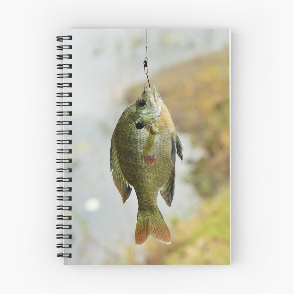 Item preview, Bream Fish  designed and sold by mnusl.