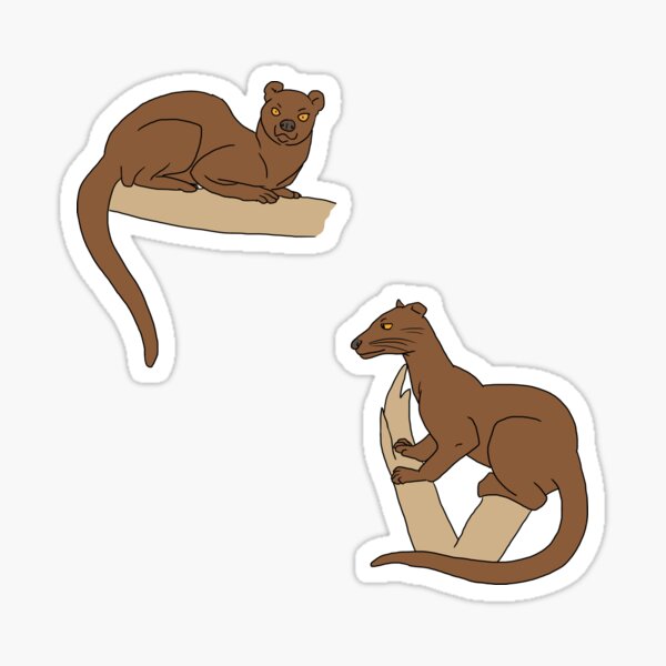 Item preview, Fossa designed and sold by Qemma.