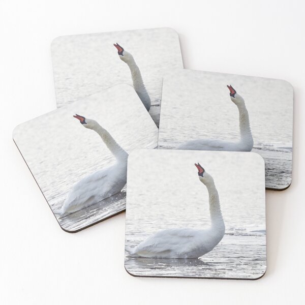 Item preview, Grito silencioso del cisne mudo designed and sold by Jouko Lehto Photography.