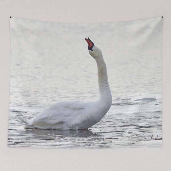 Item preview, Grito silencioso del cisne mudo designed and sold by Jouko Lehto Photography.