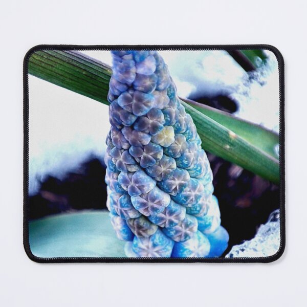 Item preview, Blue color in the snow designed and sold by Treemonk.