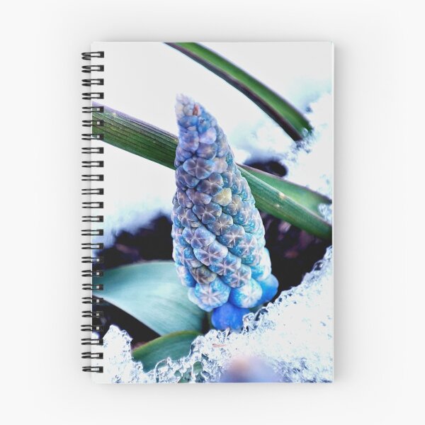 Item preview, Blue color in the snow designed and sold by Treemonk.