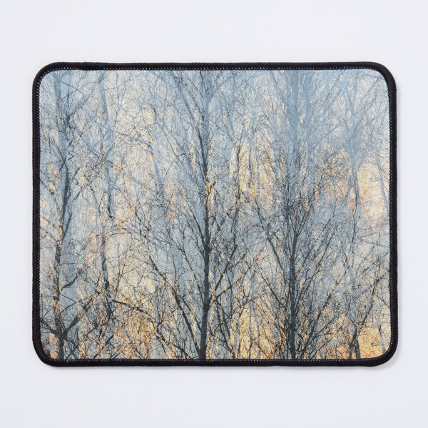 Item preview, Spring Birch Tree Symphony II designed and sold by denis-romanov.