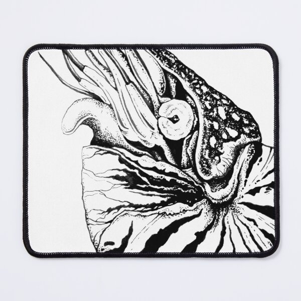 Item preview, The mollusk designed and sold by KublaFineArts.