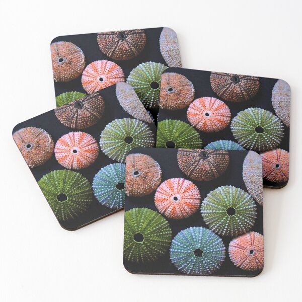 Item preview, Colourful Kina designed and sold by Sue Skellern Artist.