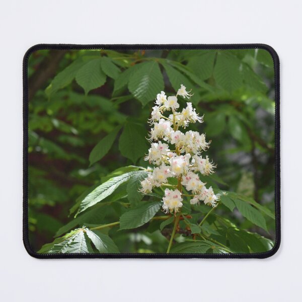 Item preview, Blooming Chestnut designed and sold by mariya-ivanova.