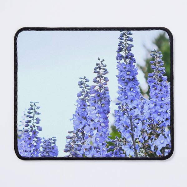 Item preview, Blue Delphinium flowers  designed and sold by Artbymonika.