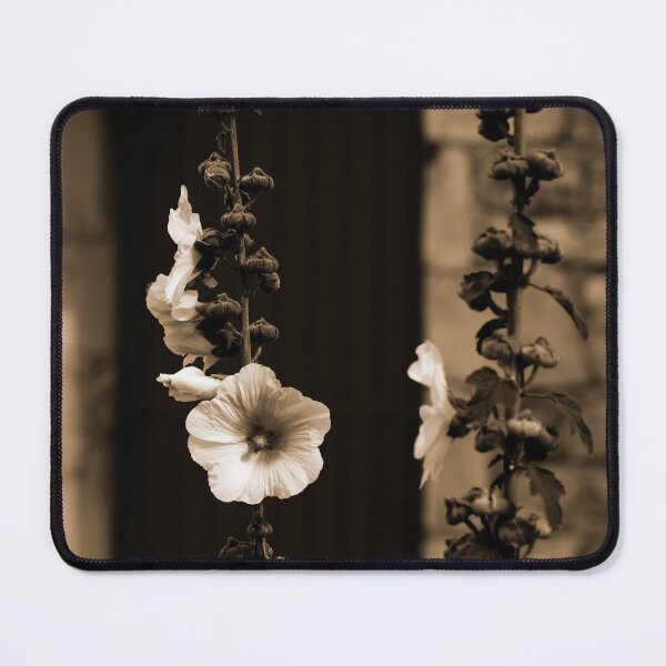 Item preview, Closeup of a Hollyhock in sepia designed and sold by FotoMahieu.