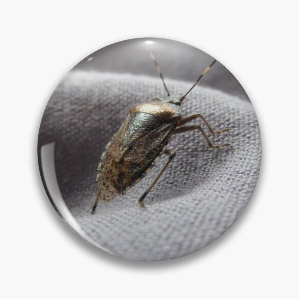 Item preview, Grey garden bug in the house on a grey gently curved fabric | feature bug designed and sold by sopfanna.