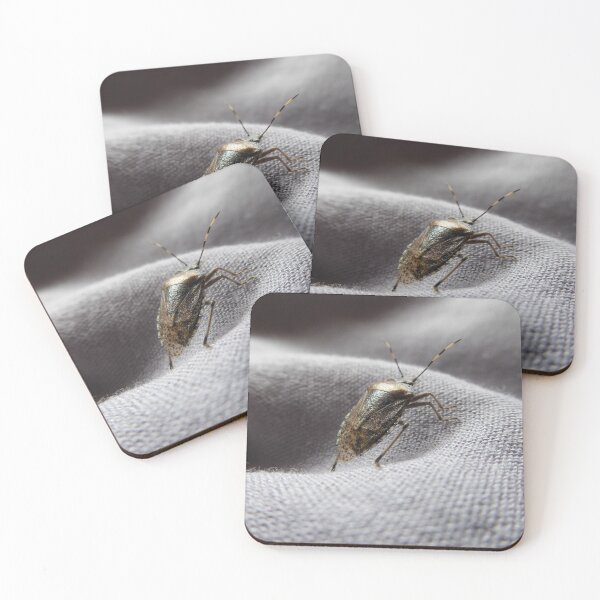 Item preview, Grey garden bug in the house on a grey gently curved fabric | feature bug designed and sold by sopfanna.