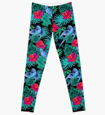 blue macaw parrots. Leggings