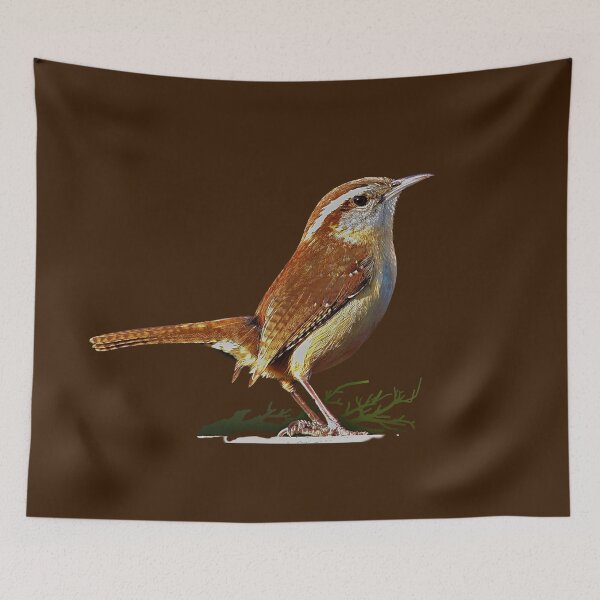 Item preview, CAROLINA WREN designed and sold by THE AMERICAN TEEVANGELIST.