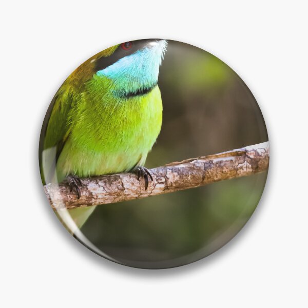 Item preview, Asian Green bee-eater designed and sold by kasthu.