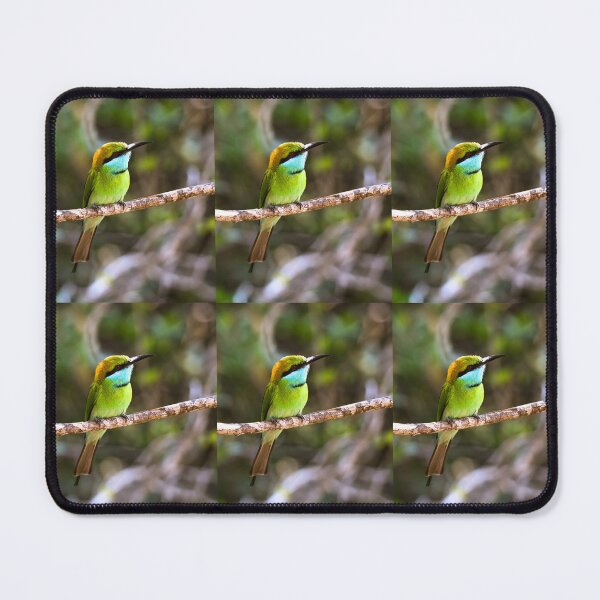 Item preview, Asian Green bee-eater designed and sold by kasthu.
