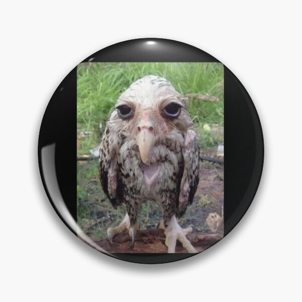 Item preview, Wet Owl Meme Essential designed and sold by NaudvanderMeer.