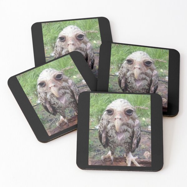 Item preview, Wet Owl Meme Essential designed and sold by NaudvanderMeer.