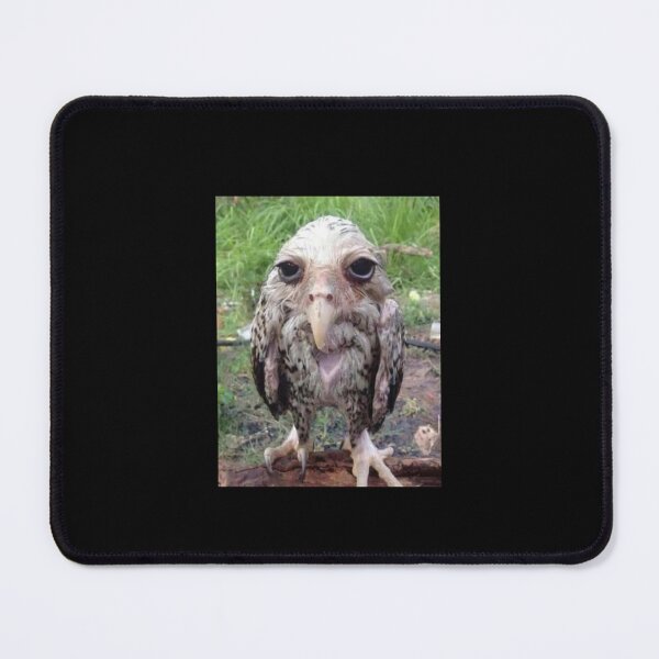 Item preview, Wet Owl Meme Essential designed and sold by NaudvanderMeer.