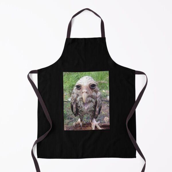 Item preview, Wet Owl Meme Essential designed and sold by NaudvanderMeer.