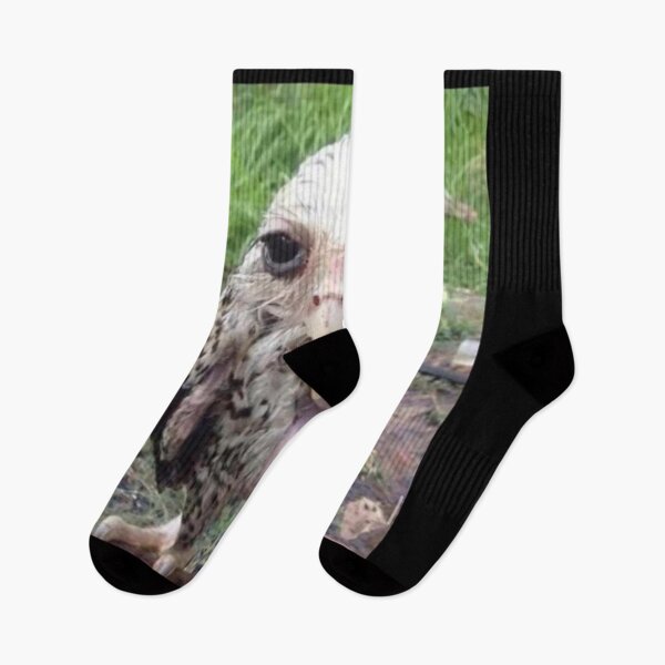 Item preview, Wet Owl Meme Essential designed and sold by NaudvanderMeer.