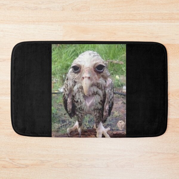 Item preview, Wet Owl Meme Essential designed and sold by NaudvanderMeer.