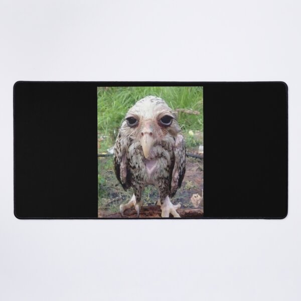 Item preview, Wet Owl Meme Essential designed and sold by NaudvanderMeer.