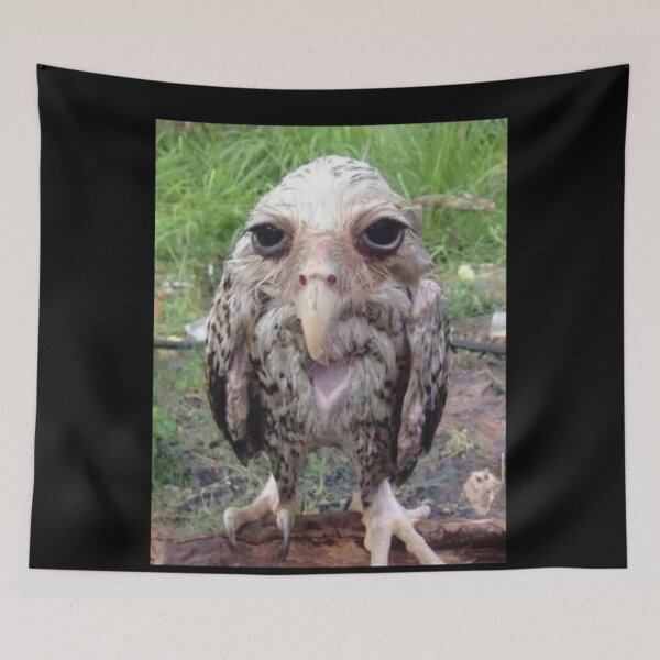 Item preview, Wet Owl Meme Essential designed and sold by NaudvanderMeer.