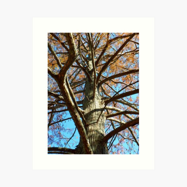 Item preview, Up A Bare Tree designed and sold by WildestArt.