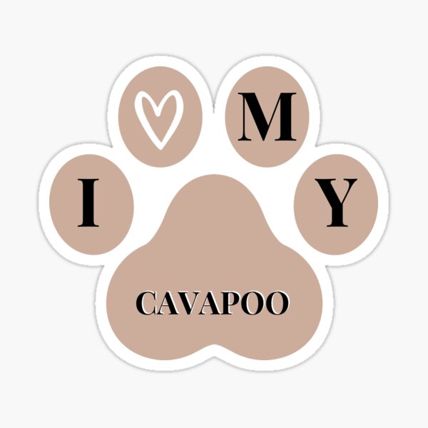 I love my Cavapoo quote in paw Sticker