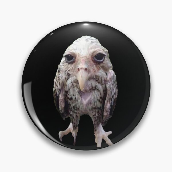Item preview, Wet Owl Meme Classic designed and sold by NaudvanderMeer.