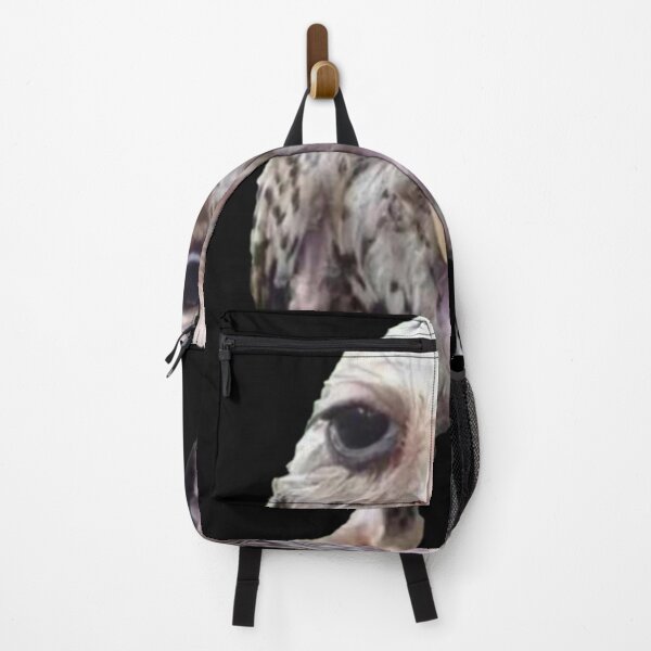 Item preview, Wet Owl Meme Classic designed and sold by NaudvanderMeer.