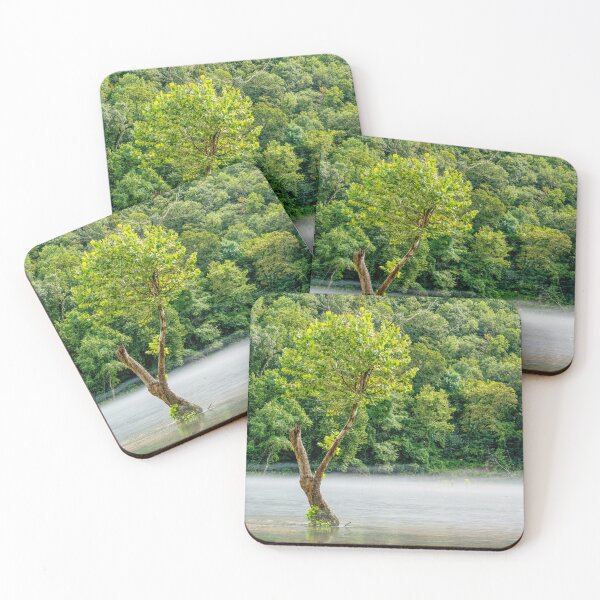 Item preview, Steamy Fog Tree Lake Taneycomo designed and sold by mljdwhite.