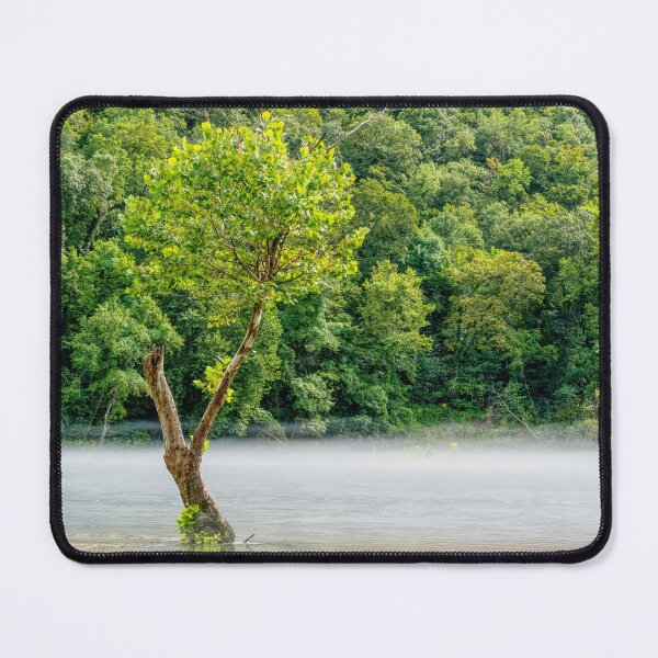 Item preview, Steamy Fog Tree Lake Taneycomo designed and sold by mljdwhite.