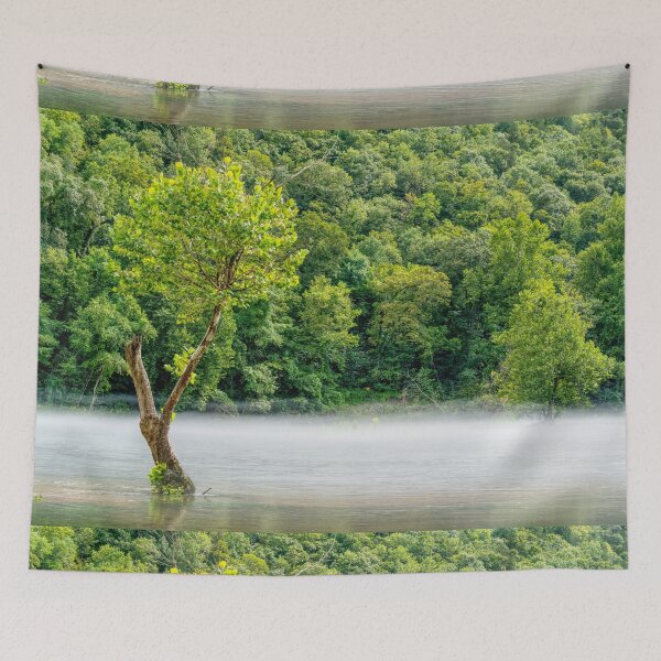Item preview, Steamy Fog Tree Lake Taneycomo designed and sold by mljdwhite.