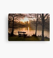 Solitude Metal Print