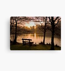 Solitude Canvas Print