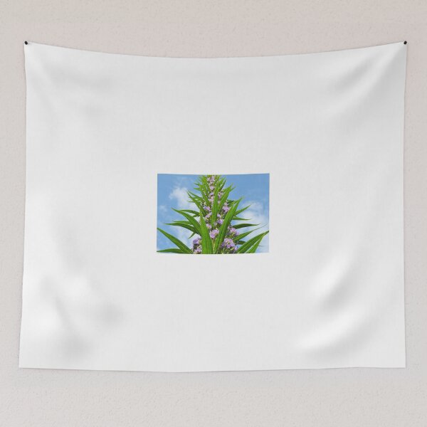 Item preview, reach for the skys designed and sold by marxbrothers.