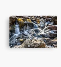 winter water Canvas Print