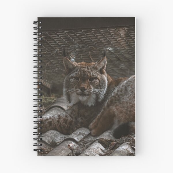 Item preview, Lying, sleeping lynx designed and sold by SophieHueper.