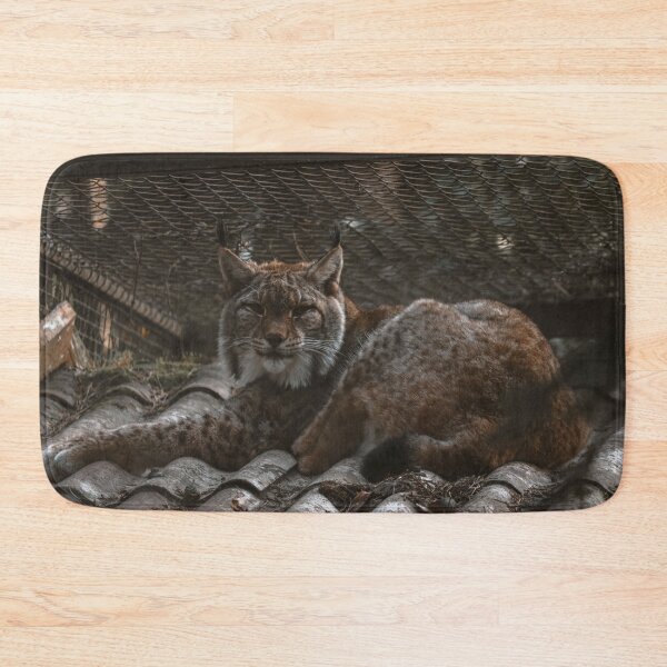 Item preview, Lying, sleeping lynx designed and sold by SophieHueper.